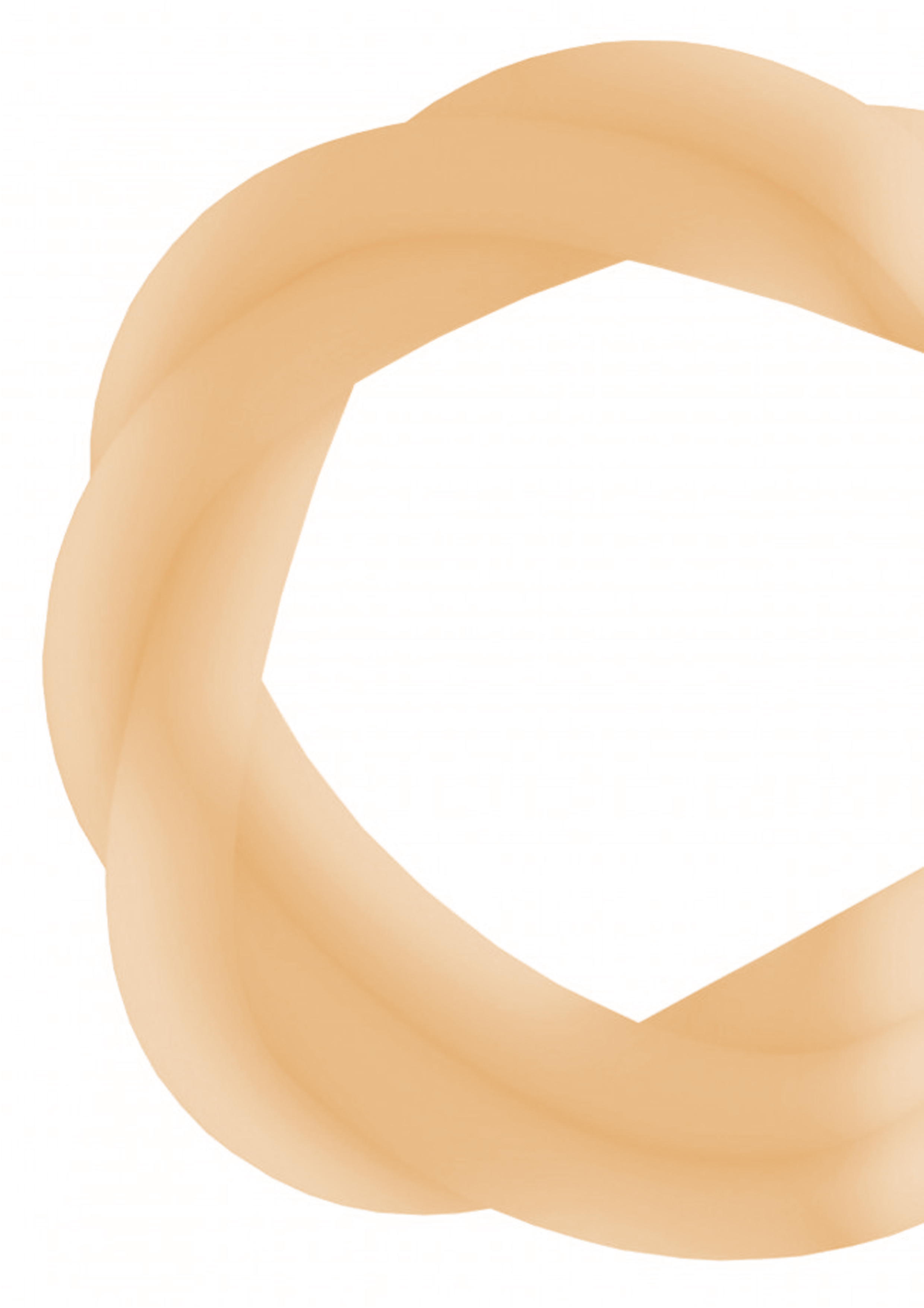 Silikonschlauch - Transparent Orange - MATT